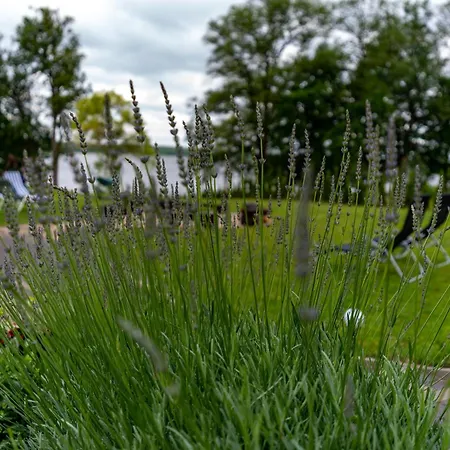 Zielony Domek Lubieszewo Lejlighed *